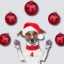 Weihnachtsurlaub 2014 - Internetagentur / Werbeagentur / Webagentur BOS Medien